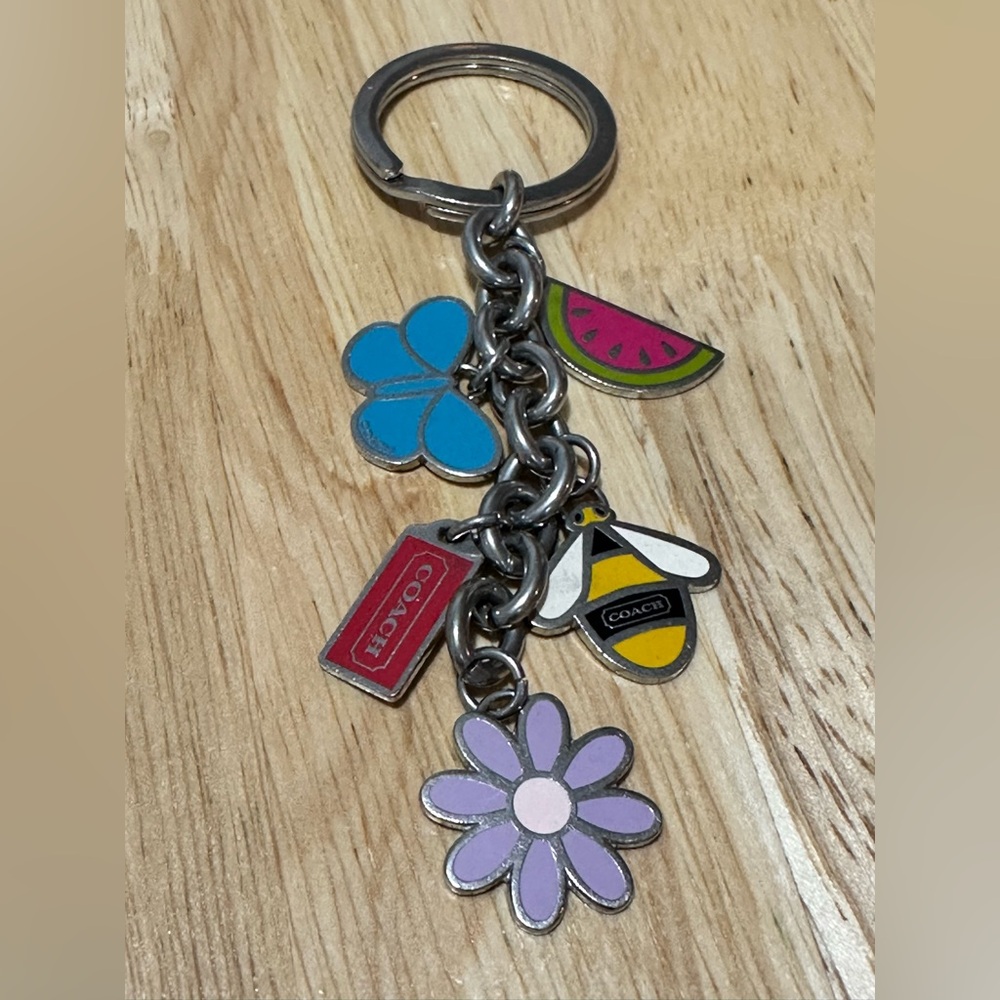 Vintage Coach Y2K Bee Keychain: watermelon, bee, flower, butterfly, tag